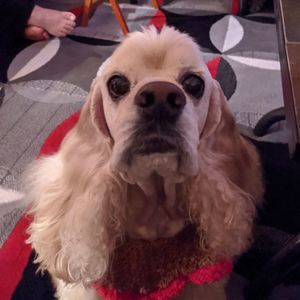 Meet your Posher, Cathy